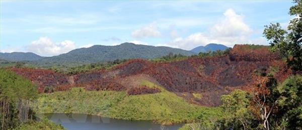 Đầu tư hạ tầng để phân lô đấu giá xây biệt thự trên đất rừng