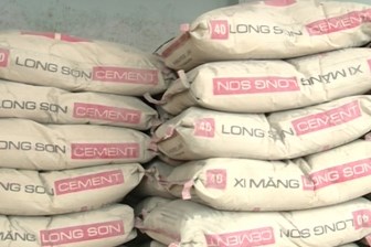 Công ty xi măng lớn nhất Thanh Hóa bị phạt 580 triệu đồng