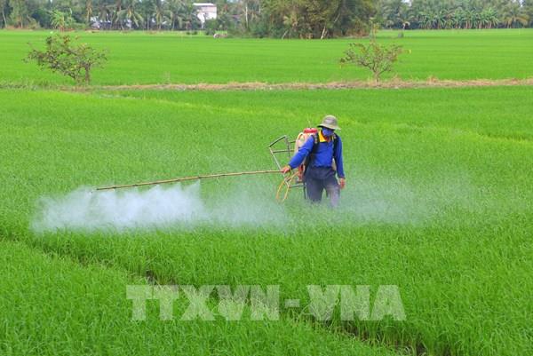 Giúp nông dân đảm bảo lợi nhuận trong "bão giá" vật tư nông nghiệp