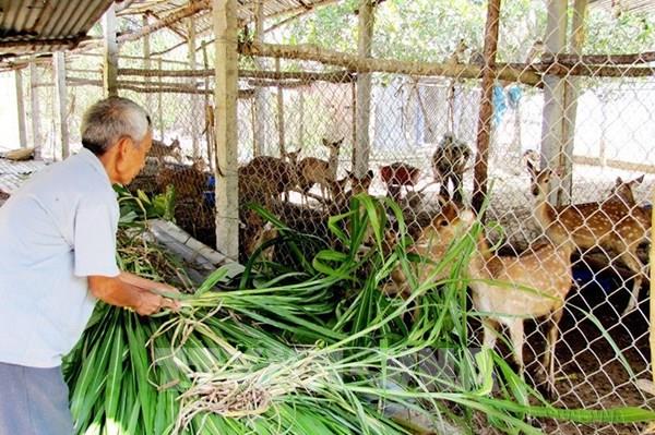 Vốn vay ưu đãi giúp nhiều người S’Tiêng thoát nghèo