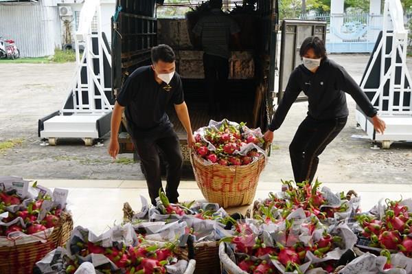 Xúc tiến xuất khẩu thanh long sang thị trường Ấn Độ