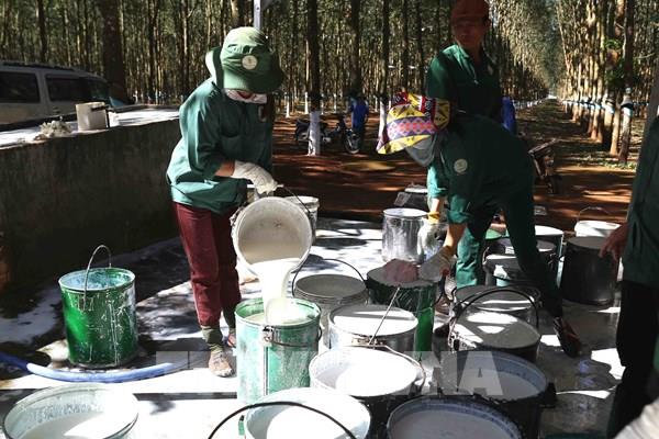 Lo Tết cho người lao động