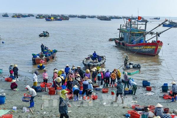 Hợp tác quốc tế, phát triển bền vững kinh tế biển Việt Nam