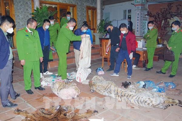 Thái Nguyên phát hiện vụ giết mổ hổ tại nhà chủ tịch ủy ban nhân dân xã
