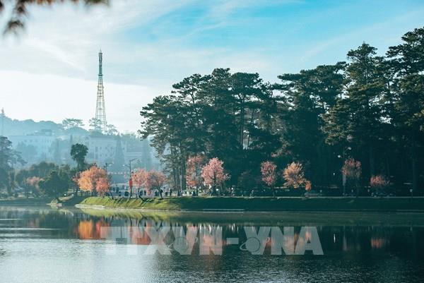 Đà Lạt được vinh danh thành phố du lịch sạch ASEAN 2022