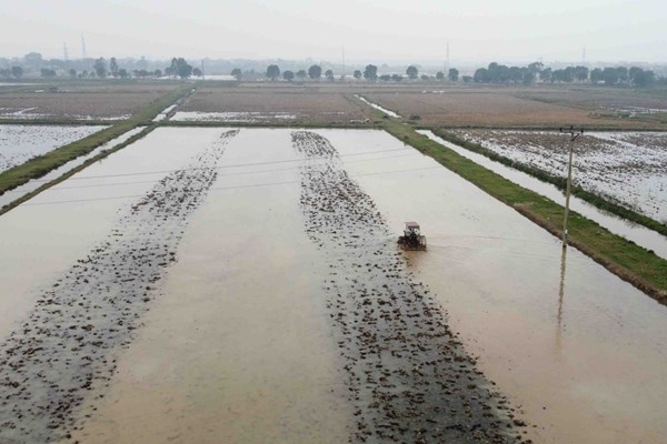 Chuyển mục đích sử dụng đất tại Sóc Trăng, Long An