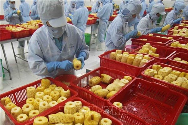 Doanh nghiệp cần lưu ý gì khi xuất khẩu vào thị trường Ấn Độ?