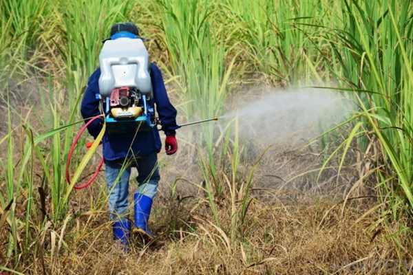 SPC hủy niêm yết trên UpCom từ ngày 19/1