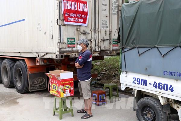 Lào Cai tạm dừng nhận xe chở trái cây tươi qua Cửa khẩu Kim Thành