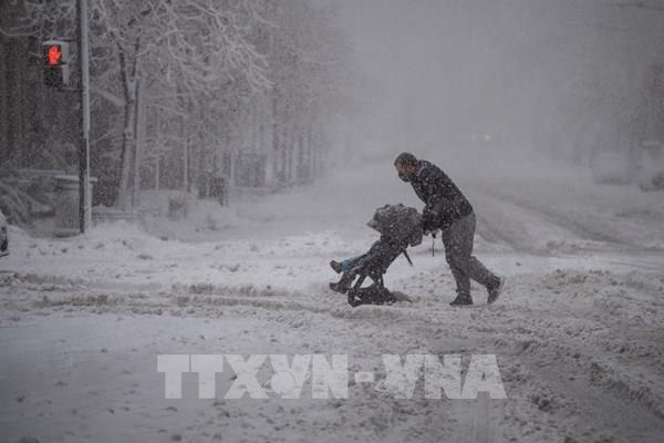 Bão lớn mùa Đông có thể khiến các kệ hàng ở Mỹ trống trải lâu hơn nữa
