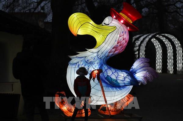 Lung linh Lễ hội ánh sáng "Alice lạc vào Xứ sở thần tiên"