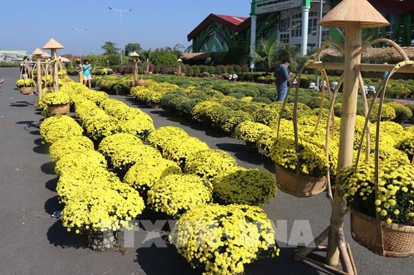 Nhiều loại hoa mới, lạ phục vụ thị trường Tết