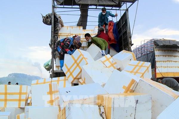 Xe nông sản, đông lạnh vẫn ra cửa khẩu Móng Cái bất chấp khuyến cáo