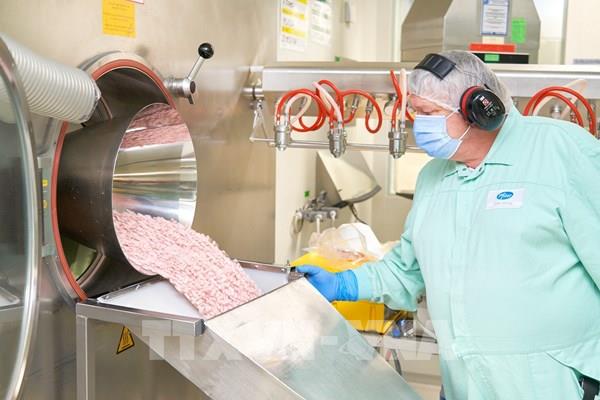 Canada phê duyệt thuốc kháng virus trị COVID-19 của hãng Pfizer