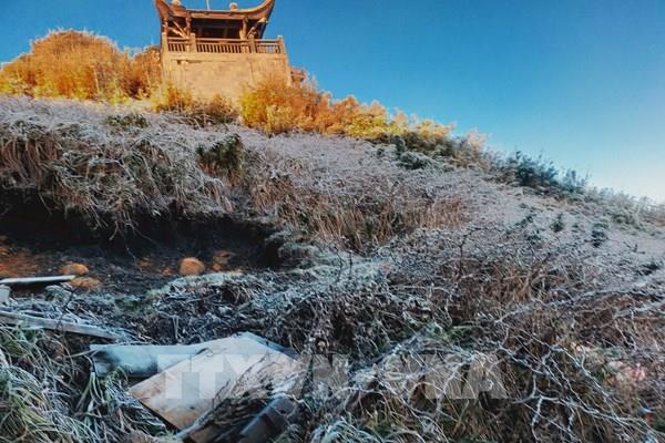 Lào Cai: Fansipan xuất hiện sương muối phủ trắng núi rừng