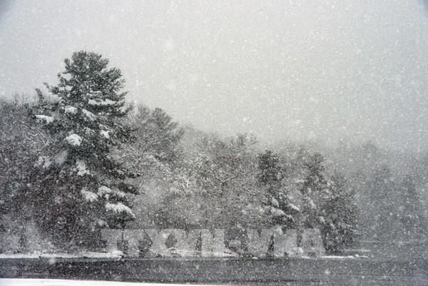 Bão tuyết làm gián đoạn giao thông tại khu vực Bắc Mỹ