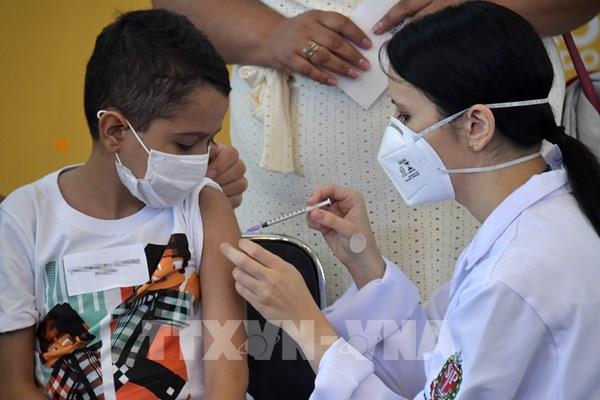 Công bằng vaccine là biện pháp đưa thế giới chuyển sang giai đoạn bệnh đặc hữu