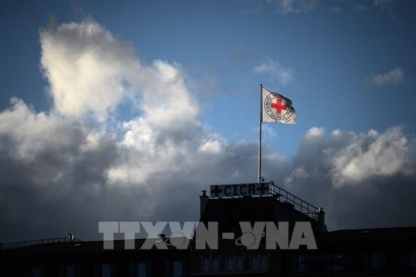 Tin tặc tấn công mạng nội bộ của Ủy ban Chữ thập Đỏ quốc tế