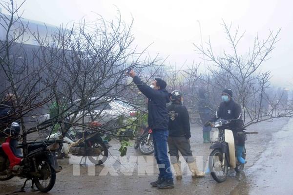 Về quê ăn Tết ở các tỉnh miền núi phía Bắc có phải cách ly hay test COVID-19?