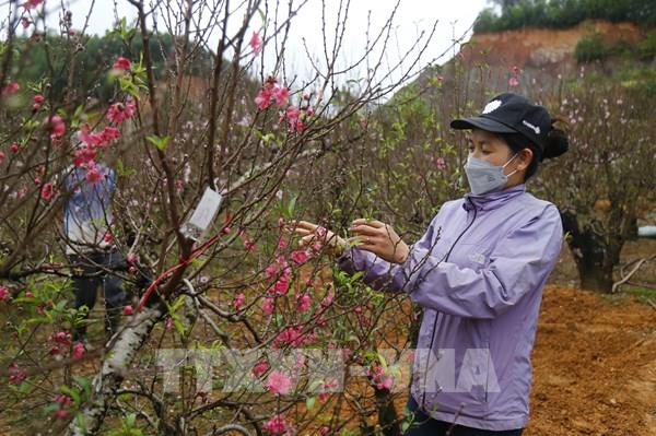 Gợi ý những món quà Tết tặng cha mẹ đầy ý nghĩa