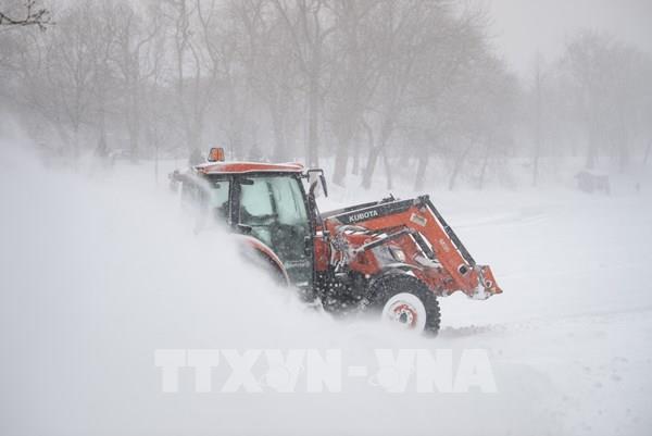 Phát hiện 4 người tử vong vì giá lạnh ở gần biên giới Mỹ - Canada