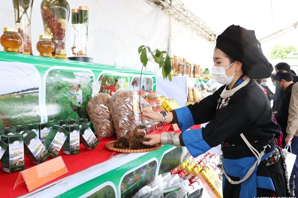 Khai mạc phiên chợ nông sản Lai Châu 2022