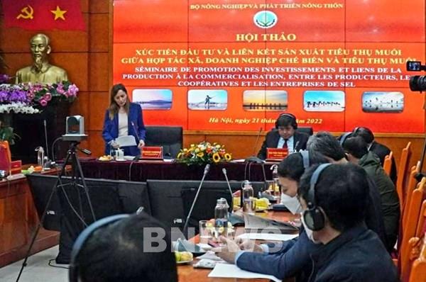 ​Gắn kết sản xuất để thu hút đầu tư vào ngành muối