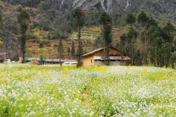 Ra mắt video clip “Việt Nam: Đi Để Yêu! - Xuân đoàn viên”