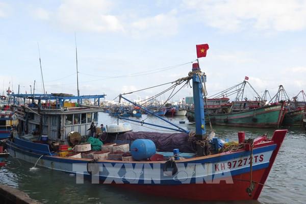 Sớm thống nhất chế tài xử phạt vi phạm hành chính trong lĩnh vực thủy sản