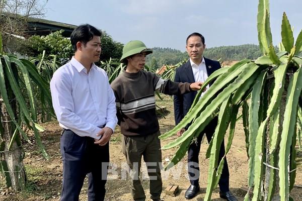 Agribank Vĩnh Phúc: Đồng hành cùng các chương trình nông nghiệp trọng điểm 