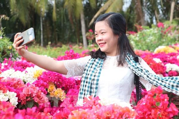 “Vương quốc hoa kiểng” Chợ Lách hấp dẫn du khách dịp cuối năm