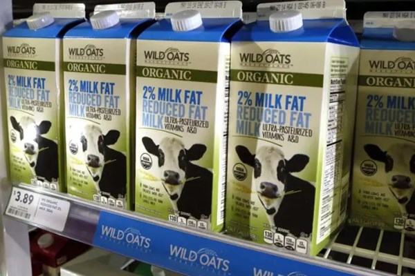 Remilk với sứ mệnh tạo ra nguồn sữa "chay"
