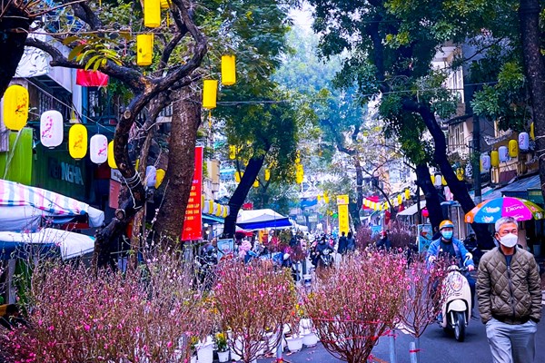 Hình ảnh phố phường Hà Nội rộn ràng vào Xuân