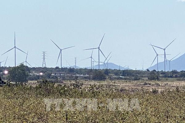 Xây dựng Ninh Thuận thành trung tâm năng lượng tái tạo