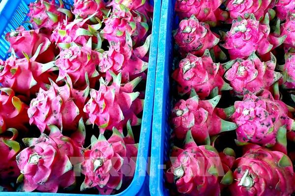 Tìm giải pháp để EU giảm tần suất kiểm tra nông sản, thực phẩm của Việt Nam