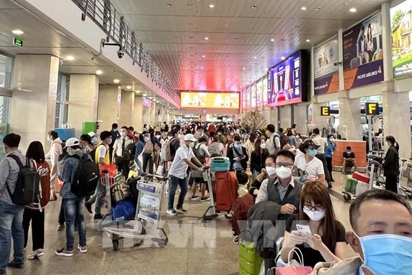 Cục Hàng không Việt Nam yêu cầu dừng dịch vụ ưu tiên check-in có thu phí