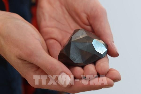 Đấu giá viên kim cương đen lớn nhất thế giới