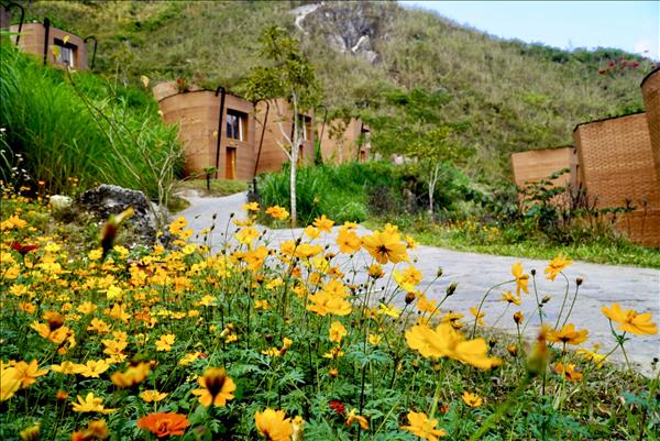 Du lịch: Thử nghiệm để tạo luồng gió mới