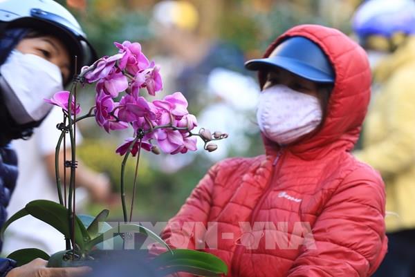 Tấp nập chợ hoa ngày cận Tết