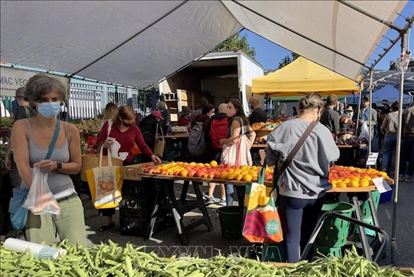 Triển vọng tăng trưởng lạc quan của kinh tế toàn cầu