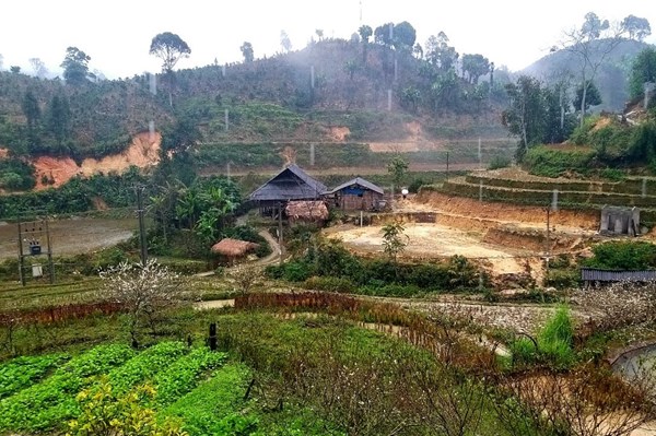 Sinh khí mới cho du lịch Tết 2022