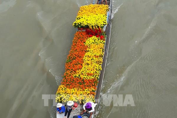 Sắc xuân Hậu Giang