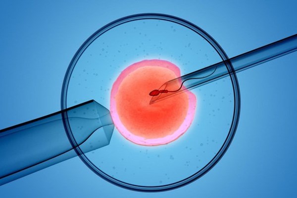 Vaccine COVID-19 công nghệ mRNA không ảnh hưởng đến thụ tinh ống nghiệm