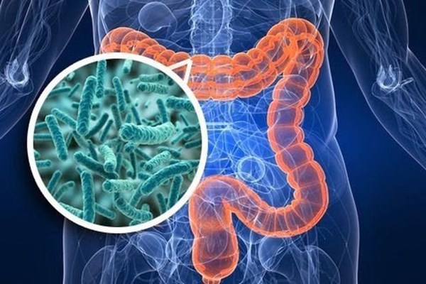 Đường ruột khỏe mạnh giúp giảm hội chứng COVID kéo dài​