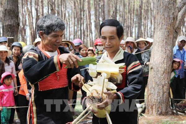 Lễ cầu mùa của đồng bào Ê đê