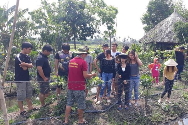 Lợi ích từ phát triển du lịch nông nghiệp