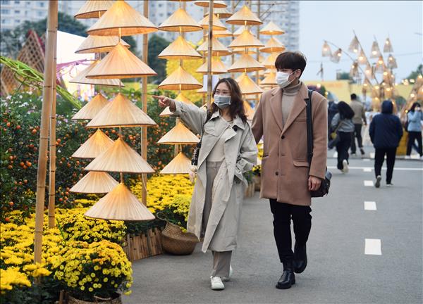 Đường hoa Home Hanoi và phố đi bộ Pont de Long Biên, điểm check in hot ngày Tết