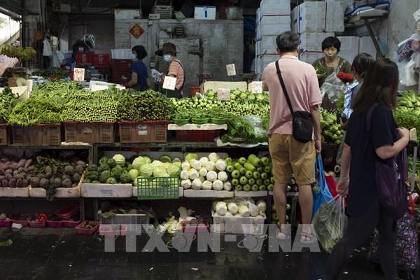 Hong Kong (Trung Quốc) thiếu rau xanh trầm trọng