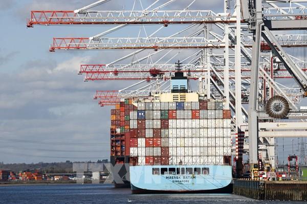 Giá cước vận tải biển toàn cầu chạm mức thấp nhất kể từ đầu năm 2024