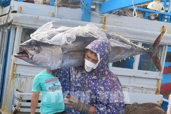 Niềm vui Tết muộn của ngư dân Phú Yên